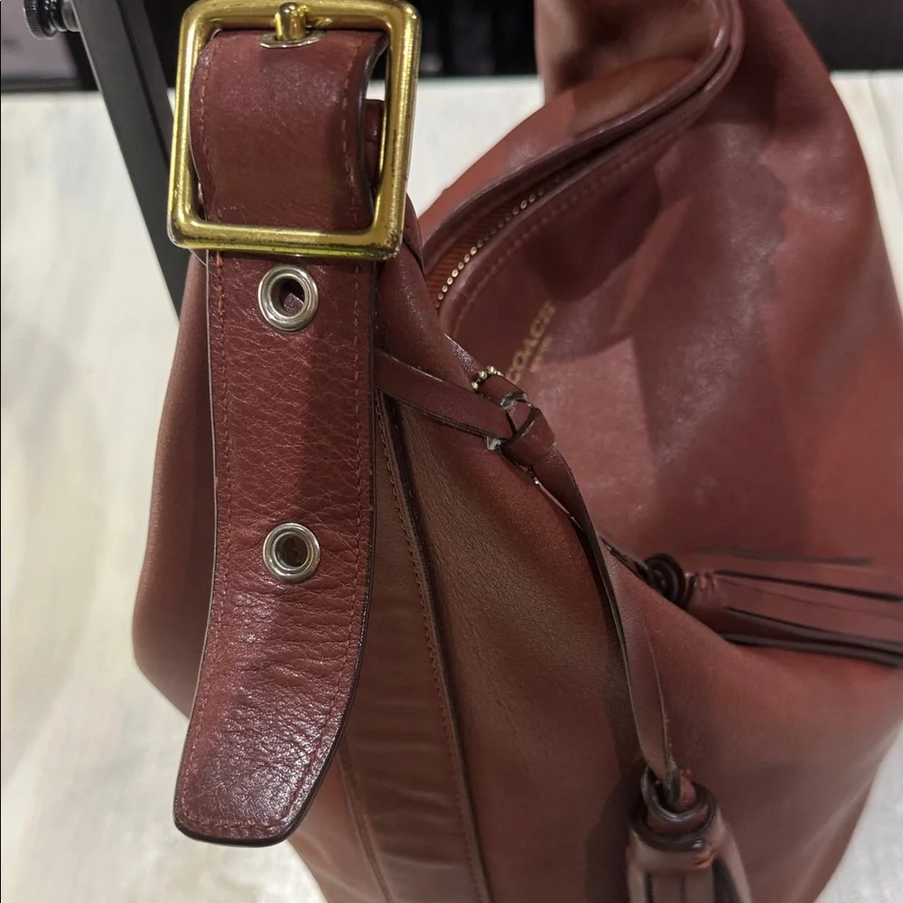 Coach luxurious hobo